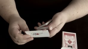 demonstration video of Megabox V2 by Mario Tarasini - Video Download