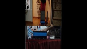 demonstration video of Gravity Box by Salvador Molano - Video Download