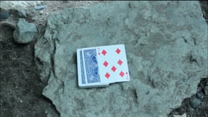 demonstration video of The Pack by Arnel Renegado - Video Download