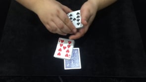 demonstration video of Teleportation by Mario Tarasini - Video Download