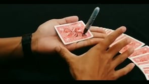demonstration video of STAND MARKER by Bobonaro - Video Download