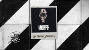 demonstration video of The Vault - MORPH by Nacho Mancilla - Mixed Media Download