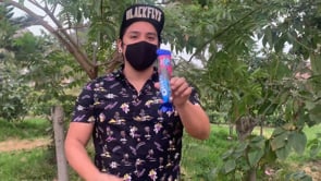 demonstration video of ColOreo By Magik Time & Stefanus Alexander - Video Download