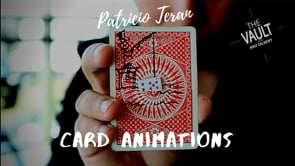 demonstration video of The Vault - Card Animations by Patricio Teran - Video Download
