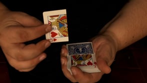 demonstration video of T.N.R. by Mario Tarasini - Video Download