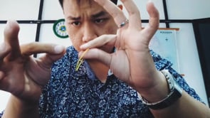 demonstration video of Hypno Band by Stefanus Alexander - Video Download