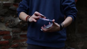 demonstration video of ROT8 by Alia M. - Video Download