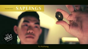 demonstration video of The Vault - Skymember Presents Saplings by Yu Huihang - Video Download