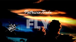 demonstration video of The Vault - Fly by Patricio Teran - Video Download