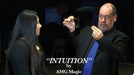 demonstration video of Intuition by David Devlin and AMG Magic (English Version) - Video Download