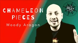 demonstration video of The Vault - Chameleon Pieces by Woody Aragon - Video Download