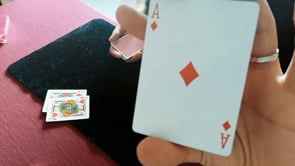 demonstration video of Deal Sandwich by Alessandro Criscione - Video Download