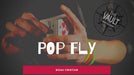 demonstration video of The Vault - Pop Fly by Bizau Cristian - Video Download