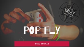 demonstration video of The Vault - Pop Fly by Bizau Cristian - Video Download