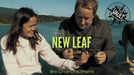 demonstration video of The Vault - New Leaf by Bro Gilbert and Paul Harris - Video Download