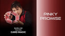 demonstration video of Shin Lim Teaches Card Magic (Full Project) - Video Download