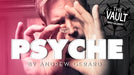 demonstration video of The Vault - Psyche by Andrew Gerard - Video Download