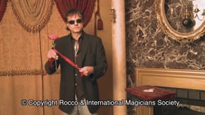 demonstration video of The Rose Routine by Rocco - Video Download
