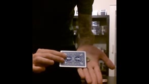 demonstration video of Euro Dollar Coin by Emanuele Moschella - Video Download