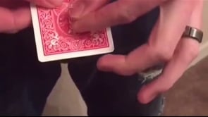 demonstration video of Stapled by Adam Burton - - Video Download
