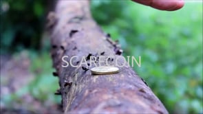 demonstration video of Scare Coin by Arnel Renegado - - Video Download