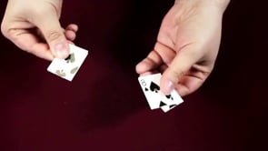 demonstration video of Chameleon Pieces by Woody Aragon - Video Download