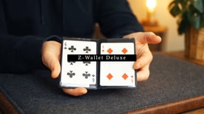 demonstration video of Z-Wallet Deluxe
