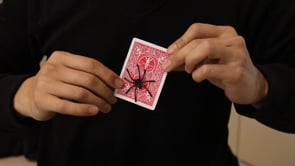 demonstration video of 3D World (Cube) by by JT Magic