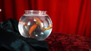 demonstration video of Flash Fish Production by LT Magic