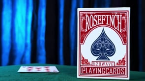 demonstration video of 52 B'Wave (Poker Size) by Iñaki Zabaletta