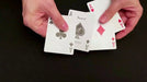 demonstration video of Boris Wild Very Wild- Trick