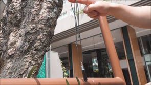 demonstration video of S Pendulum by Steve Marchello - Trick
