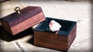 demonstration video of Moon Box by TCC & Conan Liu & Royce Luo- Trick