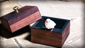 demonstration video of Moon Box by TCC & Conan Liu & Royce Luo- Trick