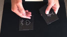 demonstration video of The DTC Cards (Gimmicks and Online Instructions) by Luca Volpe, Alan Wong and Paul McCaig - Trick