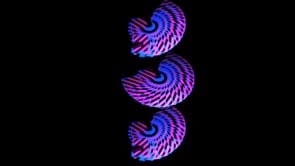 demonstration video of Broken Borders 2021 Playing Cards by The New Deck Order