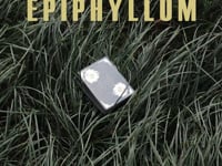 demonstration video of Epiphyllum Playing Cards